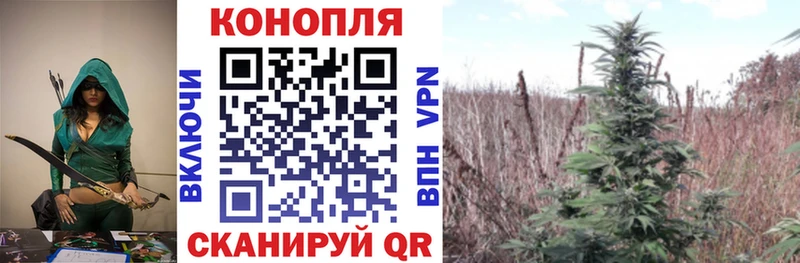 Бошки марихуана SATIVA & INDICA  купить наркоту  Кола 